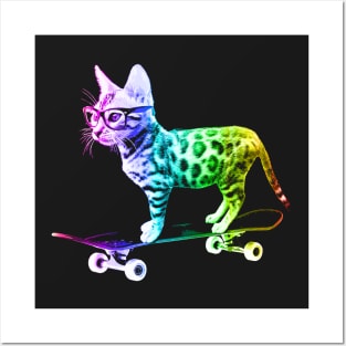 Rainbow Skateboard Cat Posters and Art